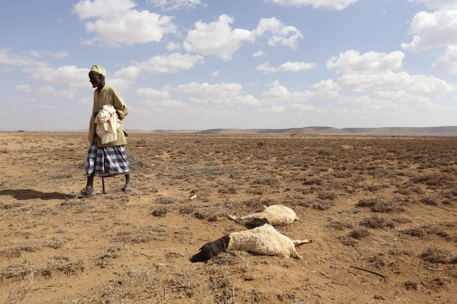 Renforcement de la résilience de l’agriculture en Afrique face au changement climatique la banque mondiale décaisse 60 millions de dollar		